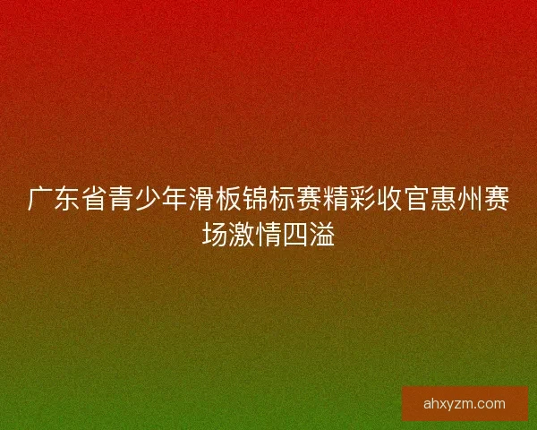 广东省青少年滑板锦标赛精彩收官惠州赛场激情四溢
